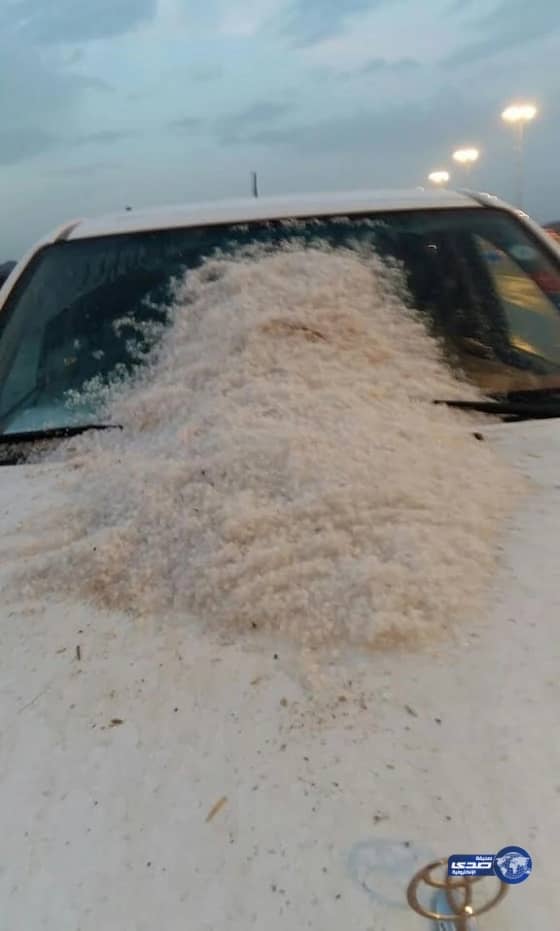 بالصور.. ضبط مواطن وعربيين في أكبر قضية تستر وغش تجاري بالرياض