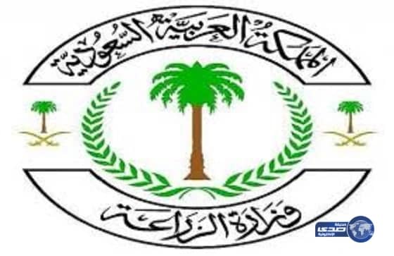 فريق الكهرباء التطوعي يشارك بأنشطة جمعية الكشافة لخدمة الحجيج