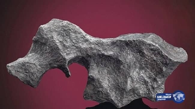 العثور على جثتي عشيقين داخل غرفة