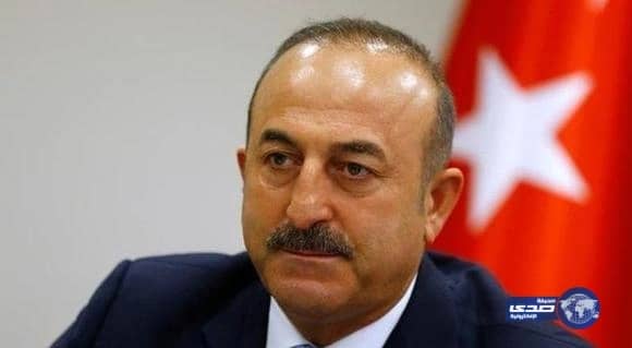 تركيا: يجب تطهير الحدود التركية السورية من «داعش»