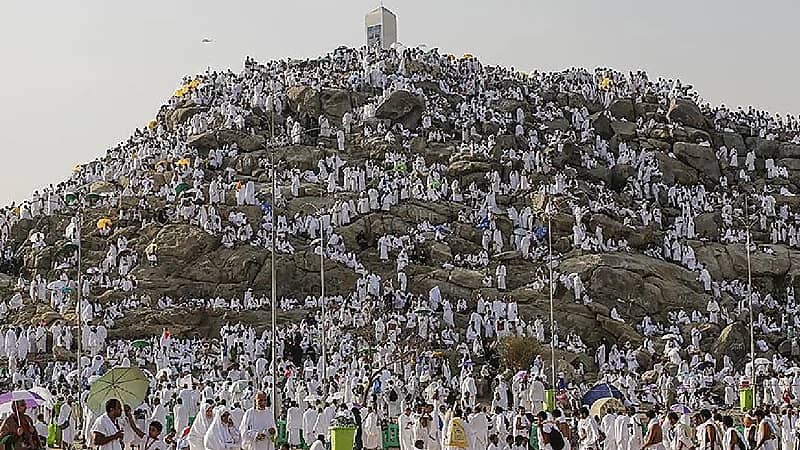 شركات حجاج الداخل تجهز مقراتها بمشعر منى وعرفات .. فيديو