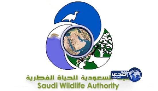 اجتماع مهني الثلاثاء لجمعية العلاقات الدولية فرع الخليج