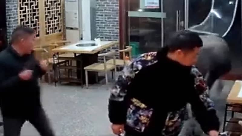 شاهد.. لحظة اقتحام "جاموس" لمطعم وقذفه لأحد الزبائن في الهواء