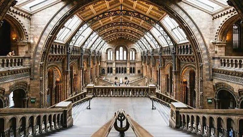 سيدة تتفاجأ بقلبها معروضًا داخل متحف لأكثر من 15 عامًا