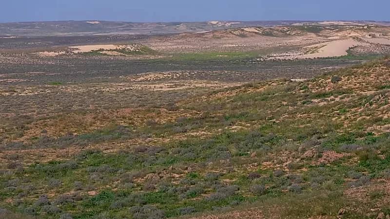 ضبط مواطنًا مخالفًا لدخوله بمركبته في الفياض بمحمية الملك عبدالعزيز الملكية