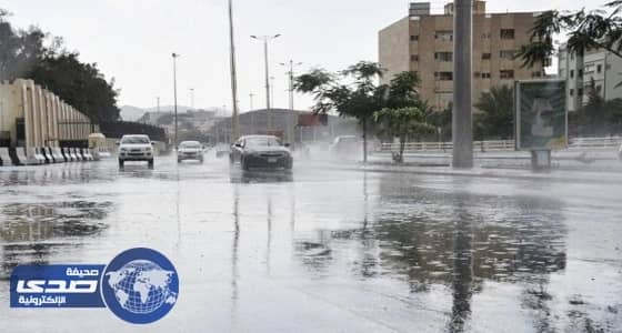 أمطار خفيفة على الباحة