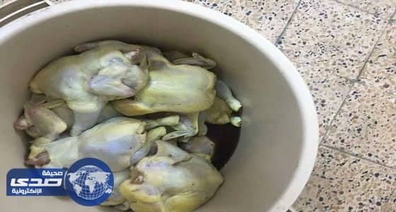 إغلاق 3 محال مخالفة لصحة البيئة بقوز الجعافرة