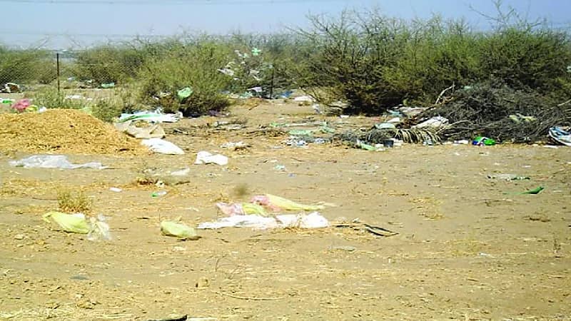 أكاديمي : مدة تحلل النفايات البلاستيكية في الطبيعة تتجاوز الـ 500 سنة (فيديو)