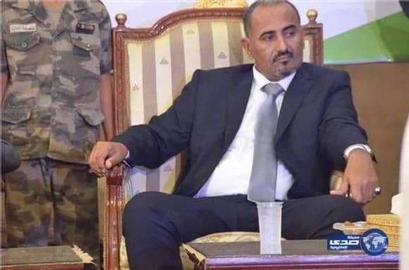 أبها.. خضرة وماء يحيلانها إلى بستان بهيج