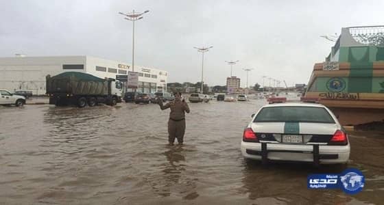 بالصور.. ضبط مطابخ مخالفة وعشوائية بالشرائع