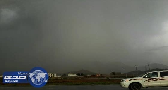 سقوط أمطار خفيفة إلى متوسطة على بارق