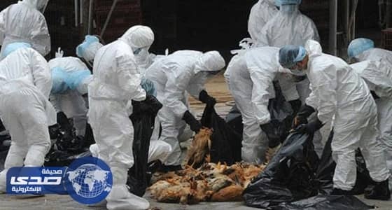 الفلبين تسجل أول إصابة بإنفلونزا الطيور