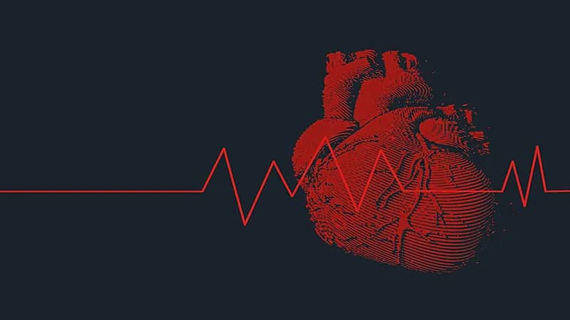 بعد كثرة الموت المفاجئ.. 10 طرق لحماية القلب من التوقف فجأة