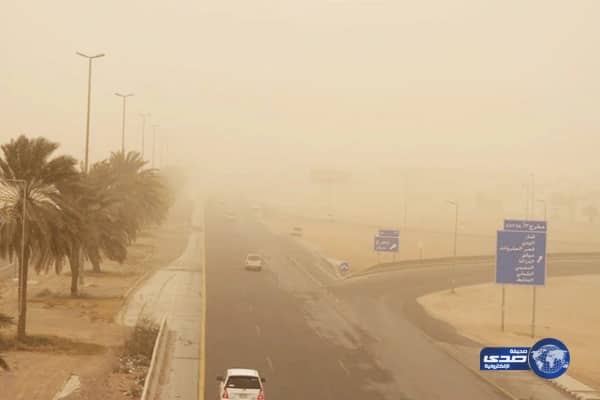 بالفيديو.. طفل يهاجم سيارة مواطنة لهذا السبب