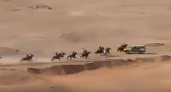 بالفيديو.. لحظة تصادم مروعة بين خيول وسيارة قاطعة لمضمار السبق