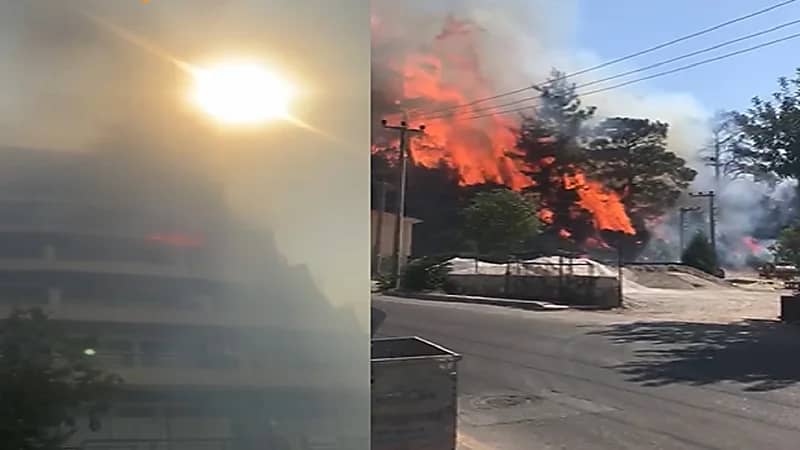 بالفيديو .. اندلاع حرائق غابات في مرماريس التركية