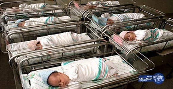 المالية تنشر وثيقة التوازن المالي للأسر المستفيدة من دعم الطاقة