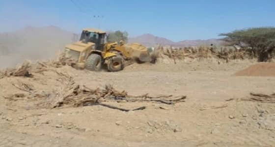 بالصور.. إزالة تعديات بمساحة 35000م في المدينة المنورة
