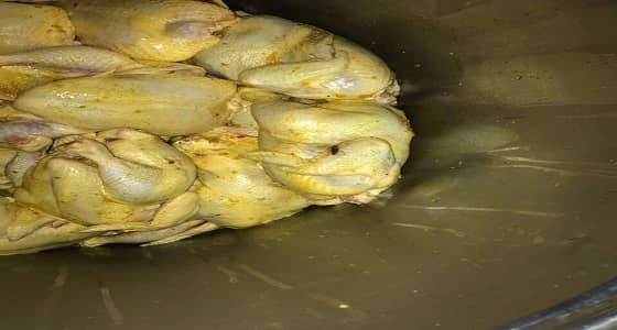 بالصور.. أمانة المدينة تضبط 152 كيلو أغذية فاسدة بقباء