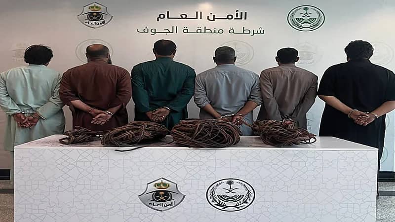 القبض على 6 أشخاص لسرقة كيابل نحاسية وسكراب في سكاكا .. فيديو