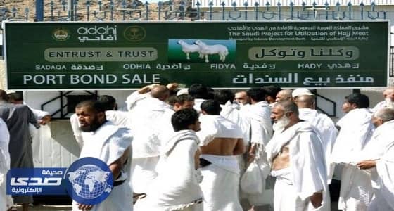 450 ريالاً سعر الأضحية في مشروع الإفادة من الهدي والأضاحي