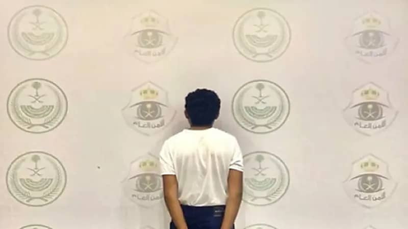 سقوط مجرمين في قبضة رجال الأمن.. فيديو