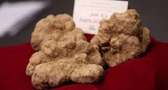 " فقع قطري " يرفع حالة الطوارئ بمطار ألماني