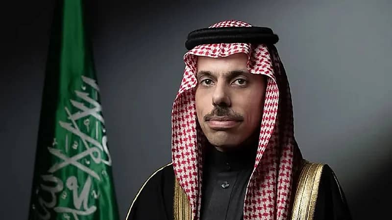 وزير الخارجية يصل القاهرة للمشاركة في القمة العربية