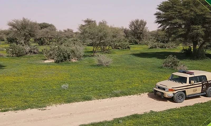 القبض على 15 مواطنًا مخالفًا لنظام البيئة لارتكابهم مخالفات صيد