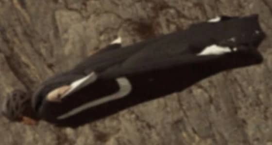 بالصورة.. " جاتها إشارة وقامت تلبي النداء ".. سعودية تطير بعباءتها السوداء