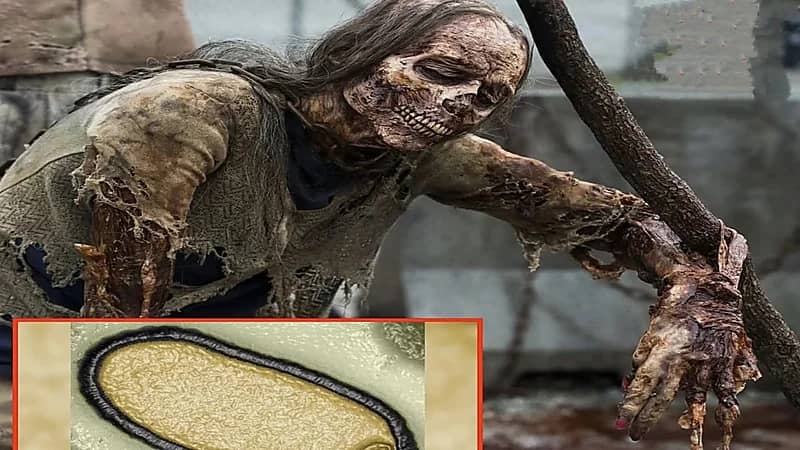 إحياء فيروس "الزومبي" الخطير وعمره 48 ألف سنة