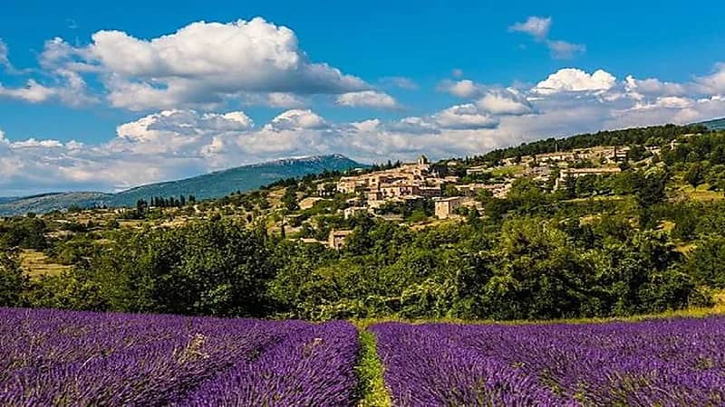 السفير الفرنسي عن اختيار اللون البنفسجي لمراسم الاستقبال: "هذا لوني المفضل"