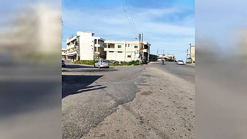 بسبب قطاف الزيتون.. مصرع 4 أشخاص من عائلة واحدة