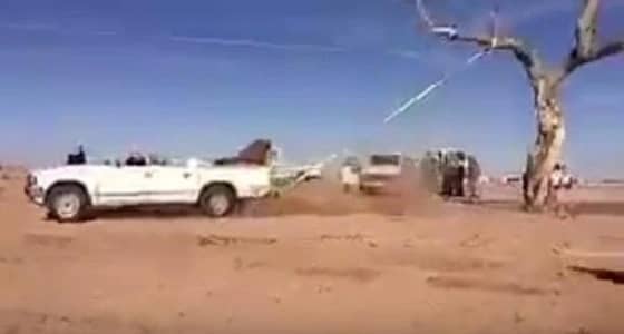 بالفيديو.. شاب يقتلع شجرة معمرة من أجل الاحتطاب