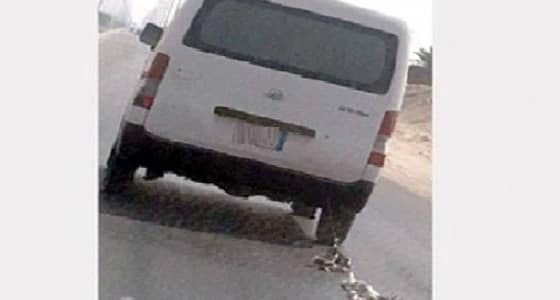 " زراعة الأحساء " تستدعي مصور فيديو سحل القطتين