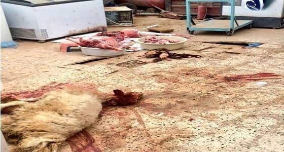 ضبط ذبائح غير صالحة للاستخدام الآدمي في مطعم بالشمالية