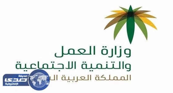 العمل : نسخر كافة الوسائل لتوطين " النقل "