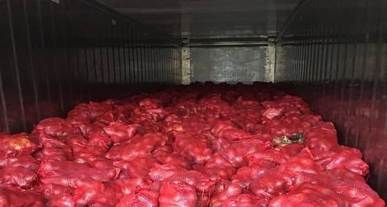 ضبط شاحنة بحمولة 15 ألف كيس بصل غير صالح للاستهلاك الآدمي بالدمام