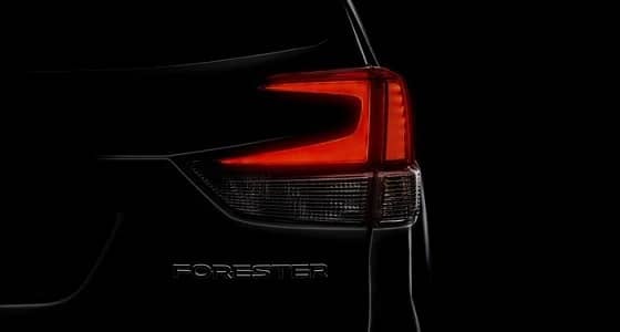 الكشف عن " سوبارو فورستر 2019 " بمعرض نيويورك