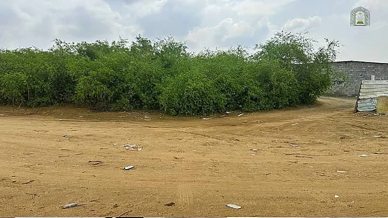 الشؤون الإسلامية ترصد تعديًا على كهرباء مسجد بجازان .. صور