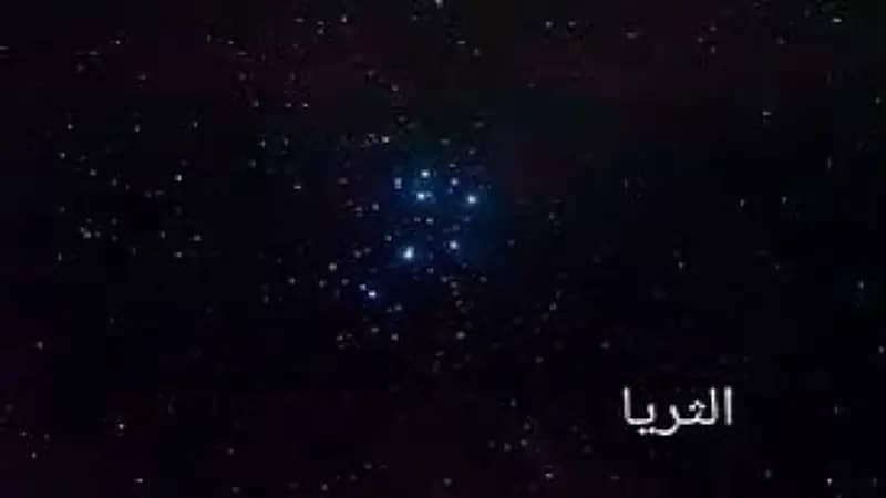 "الحصيني": موسم "الكنة" يخفي نجوم الثريا بسبب وهج الشمس