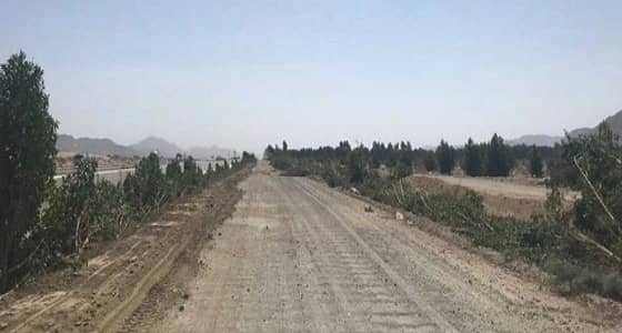 إزالة تعديات بمساحة 20 ألف متر مربع بـ " العكيشية "