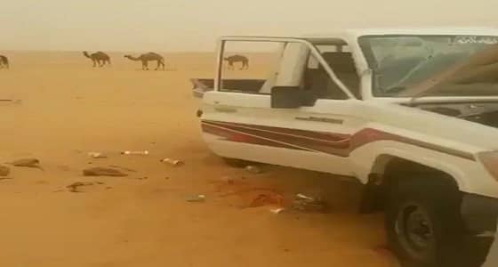 بالفيديو.. العاصفة الترابية تدمر سيارة وكرفان أحد رعاة الإبل
