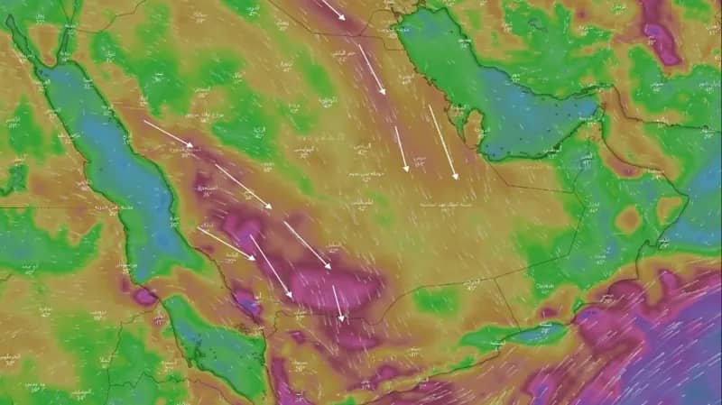 "المسند": يفضل ري المحاصيل مساءً لتقليل نسبة البخر