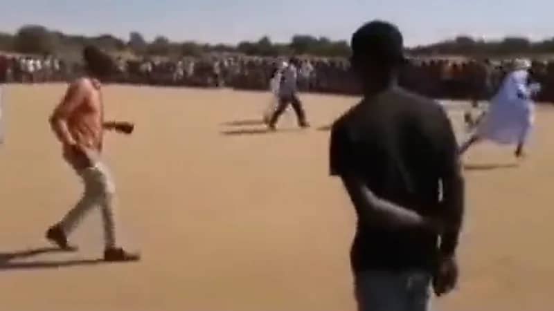 بالفيديو.. مسنين يشاركون في مسابقة إمساك الدجاجة للزواج مرة ثانية