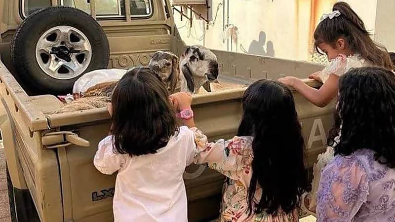 صورة العيد: مشهد طفولي يُجسّد براءة وفرحة الأضحى