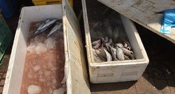 بالصور.. مصادرة 94 كيلو جرام مواد غذائية منتهية الصلاحية بجازان