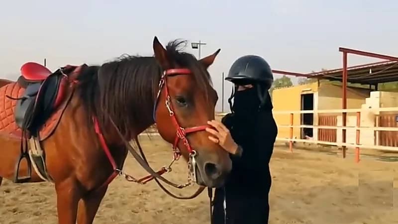 بالفيديو.. فارسة تتقن رياضة قفز الحواجز والتقاط الأوتاد في محايل عسير