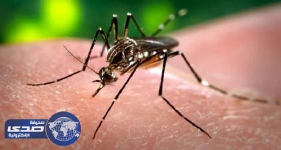 البرازيل تعلن إنهاء حالة الطوارئ الخاصة بـ«زيكا»