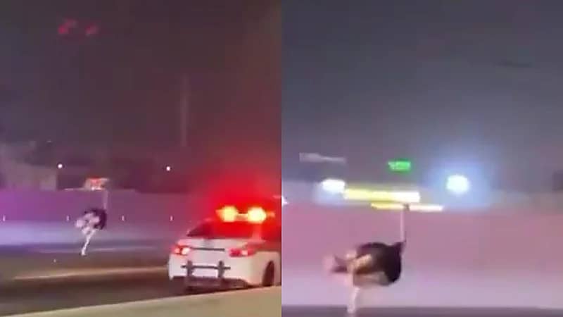 نعامة تتجول على طريق الحرمين بجدة والشرطة تلاحقها .. فيديو